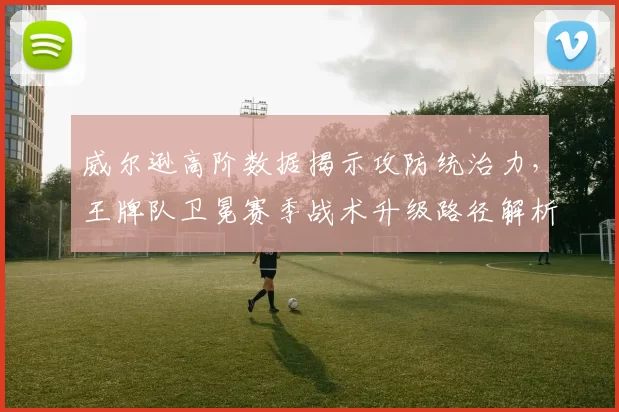 威尔逊高阶数据揭示攻防统治力，王牌队卫冕赛季战术升级路径解析